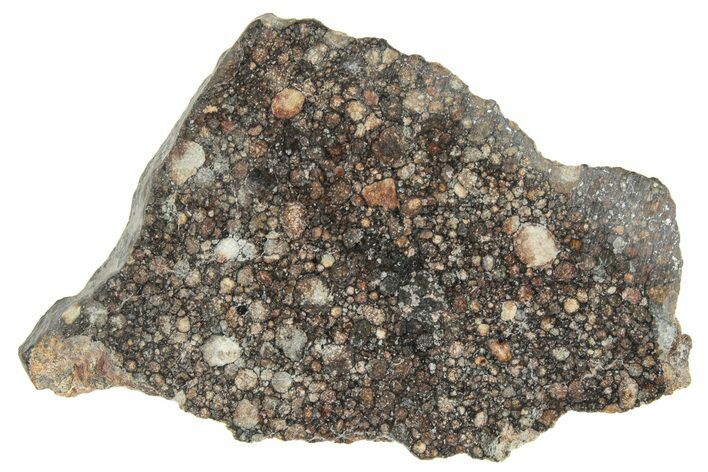 LL Chondrite Meteorite ( g) Slice - NWA #291395